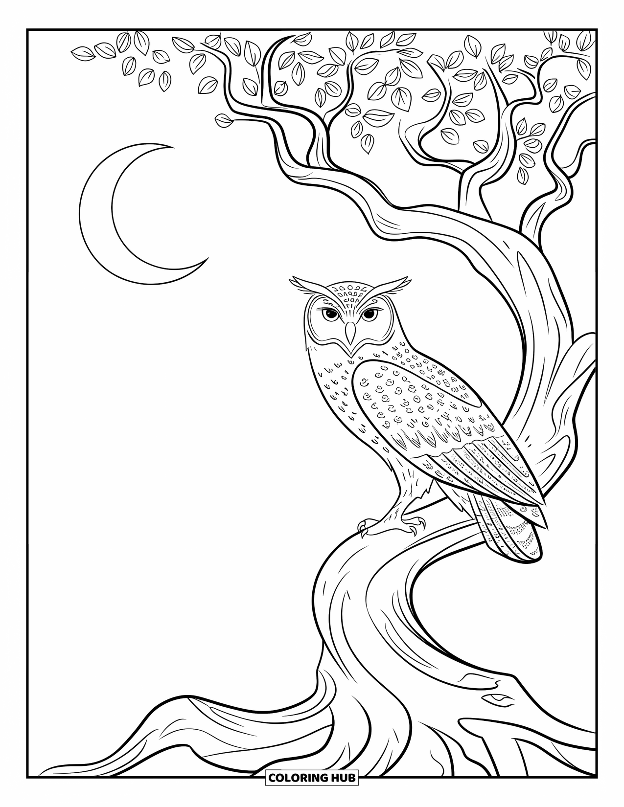 Letter O Coloring Page for Kids: Wise owl resting on a gnarled tree beneath a night sky