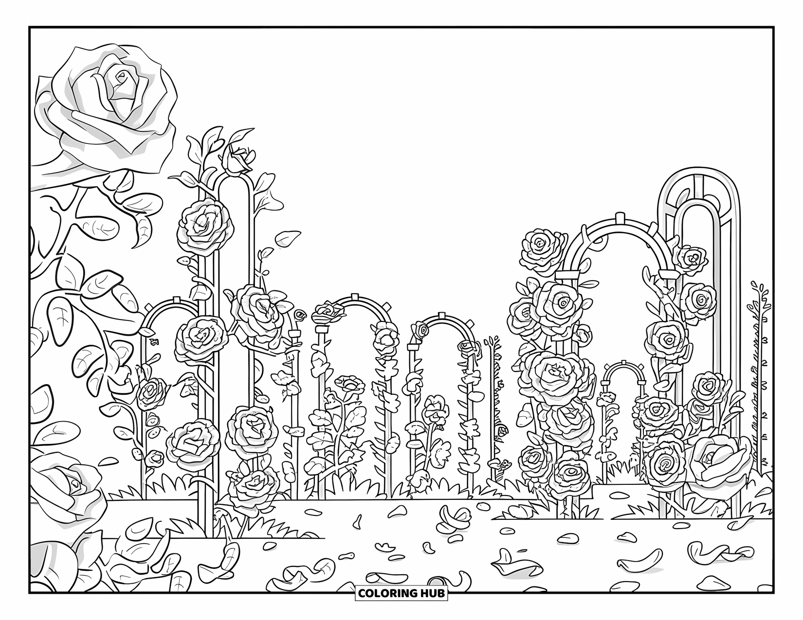 Letter R Coloring Page for Kids: A garden of roses and trellises is scattered with petals in different stages