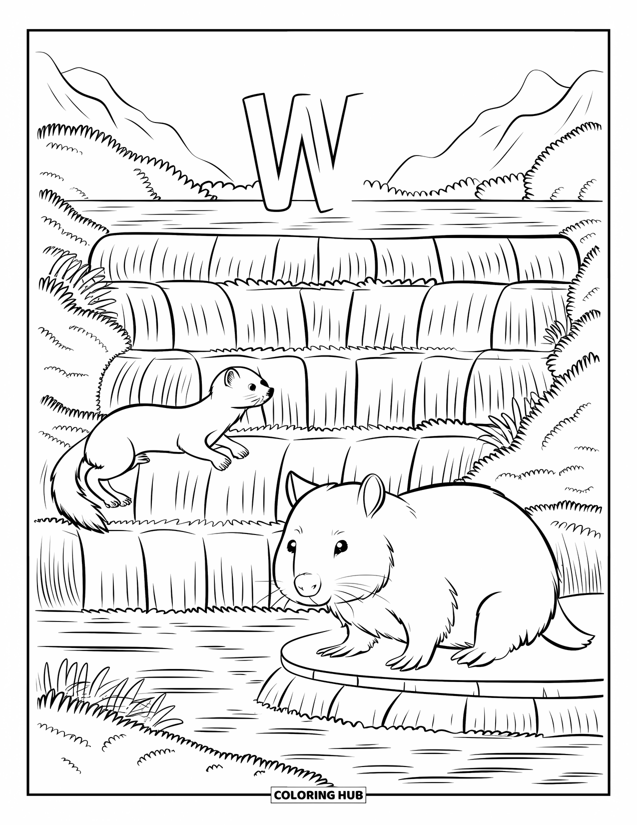 Letter W Coloring Page for Kids: A bold "W" near a flowing waterfall, with a wombat and weasel in nature