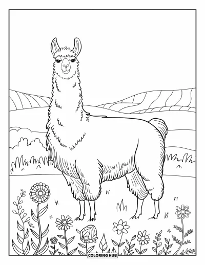 Coloriage de lama pour adultes : Un grand lama se tient calmement dans un champ de fleurs sauvages aux motifs de mandala très détaillés