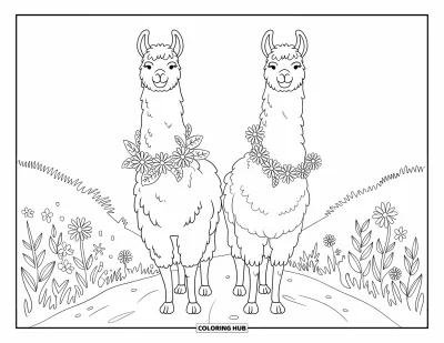 Coloriage de lama pour adultes : Deux lamas dos à dos avec des guirlandes se tiennent sur un sentier tranquille bordé de fleurs sauvages