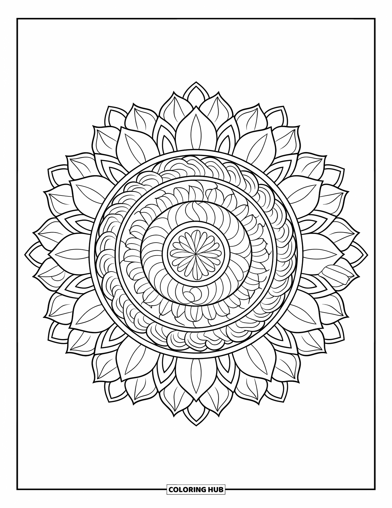 Lotus Coloring Page for Adults: Mandala of lotus flowers and rings with geometric patterns