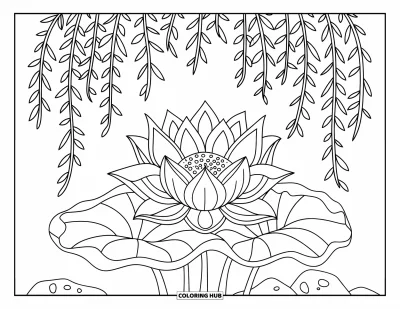 Coloriage de lotus pour enfants : Une fleur de lotus s'épanouit sous des feuilles de saule près de quelques pierres simples