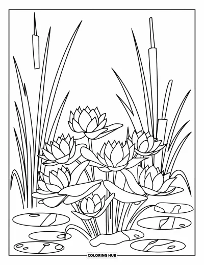 Coloriage de lotus pour enfants : Des fleurs de lotus s'épanouissent près de hauts roseaux et de douces pierres d'étang