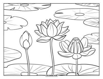 Coloriage de lotus pour enfants : Des fleurs de lotus montrent différents stades de floraison au-dessus d'un étang aux reflets ondulés