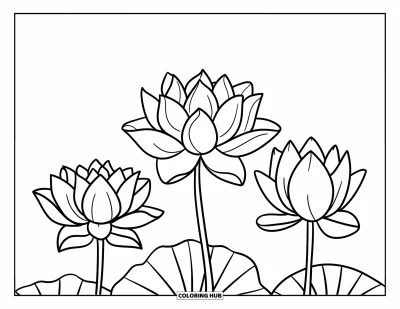 Coloriage de lotus pour enfants : Trois lotus à différents stades de floraison reposent sur un fond épuré