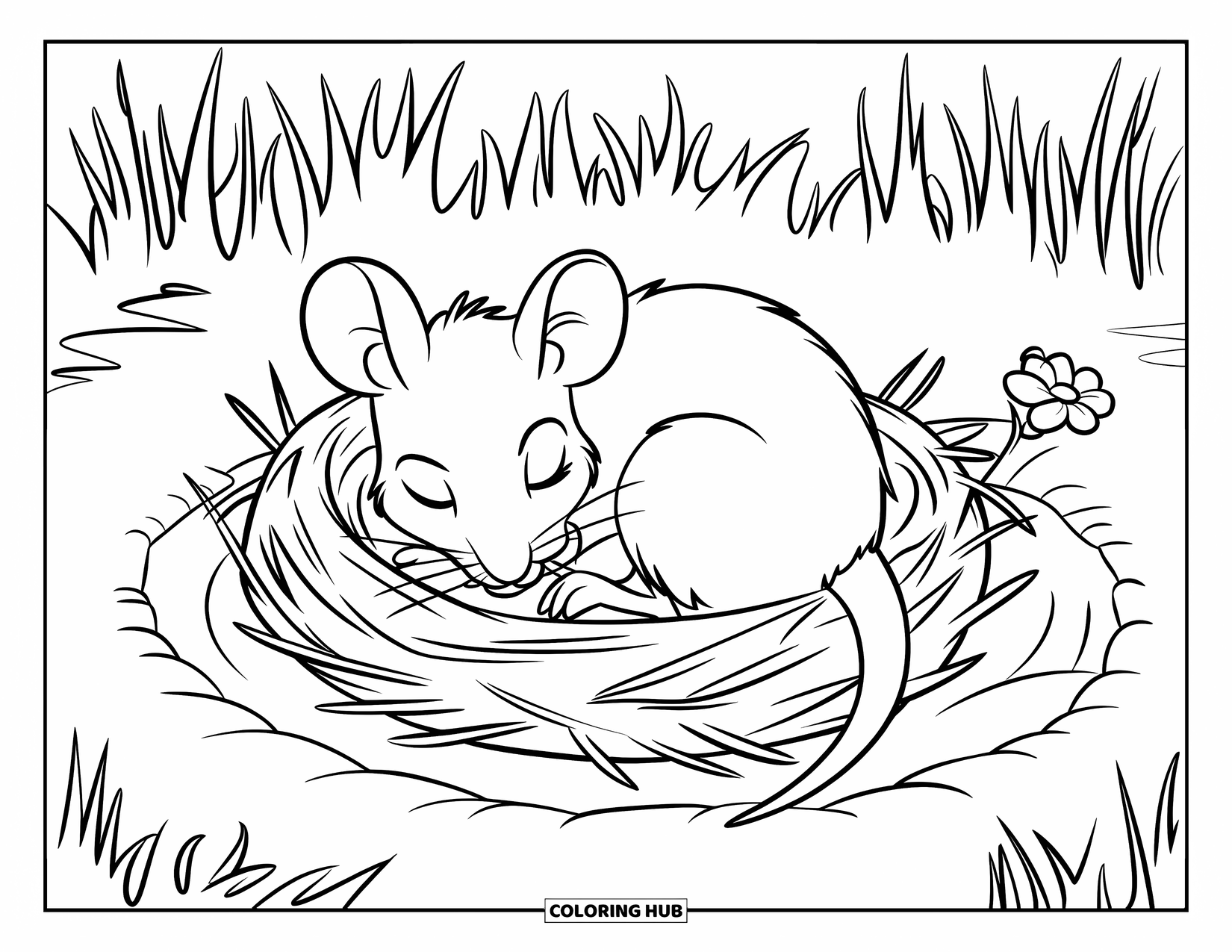 Mouse Coloring Page for Kids: A curled-up mouse sleeps in a straw nest under tall grass in a meadow