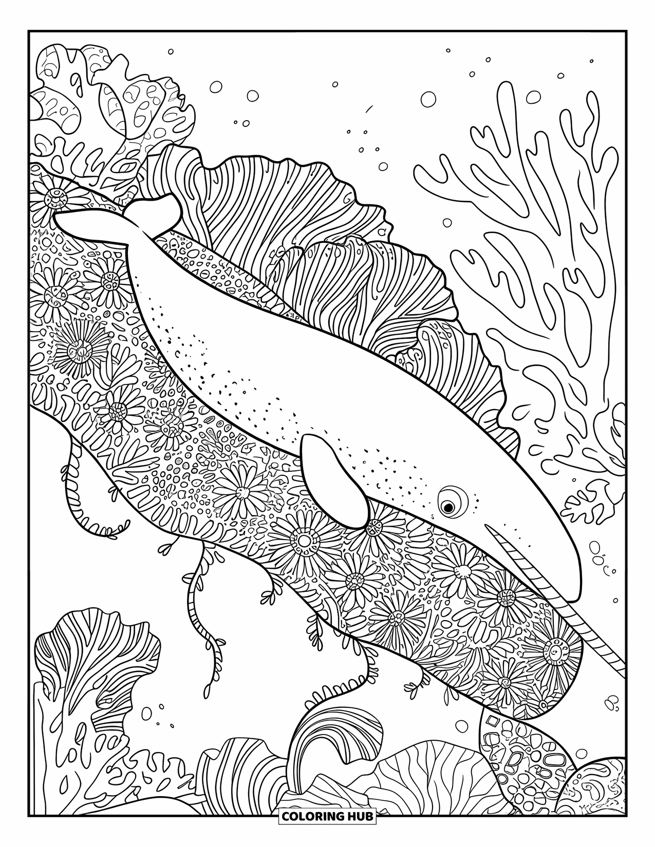 Narwhal Coloring Page for Adults: A narwhal rests on a reef surrounded by floral coral and marine plants