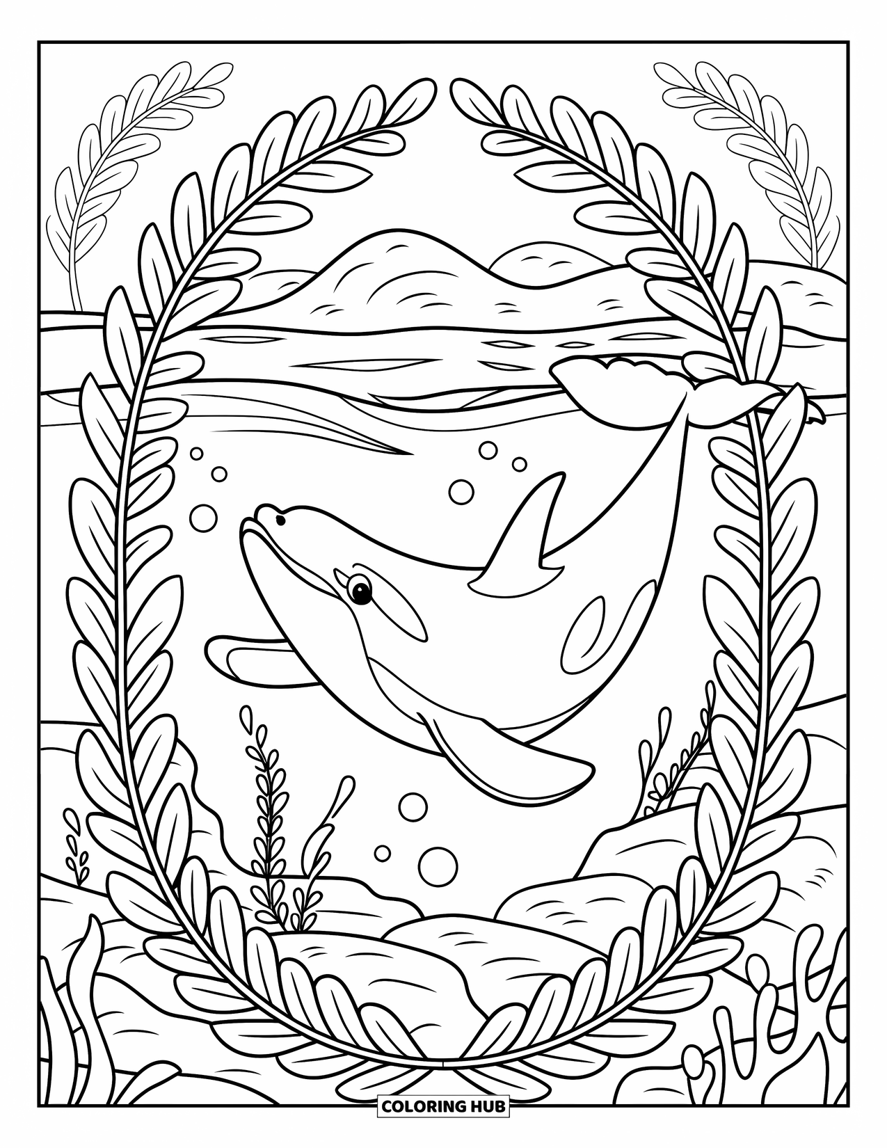 Orca Coloring Page for Adults: A peaceful orca swims through water framed by arching seaweed
