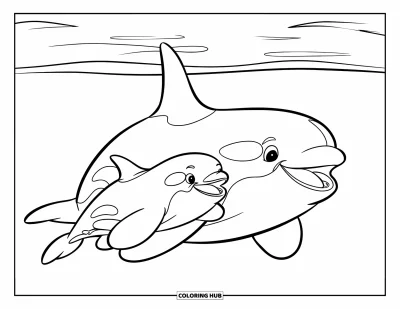 Coloriage d'orque pour enfants : Une grande orque et un bébé nagent ensemble dans une mer tranquille