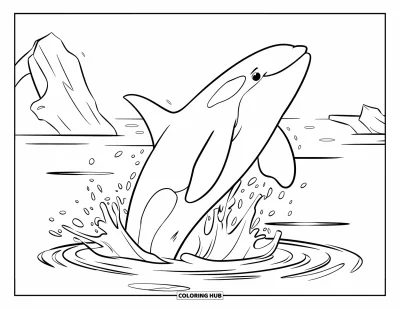 Coloriage d'orque pour enfants : Une orque qui fait un grand saut éclabousse près d'icebergs flottants au loin
