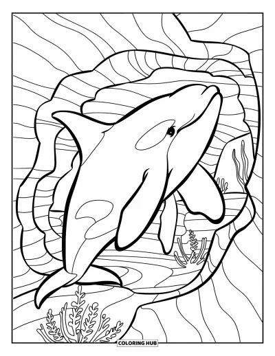 Coloriage d'orque pour enfants : Une orque virevoltante explore d'étroits passages de récif et des canyons rocheux