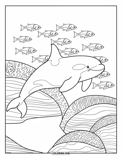 Coloriage d'orque pour enfants : Une orque saute au-dessus de collines de corail avec un banc de poissons qui nage en dessous