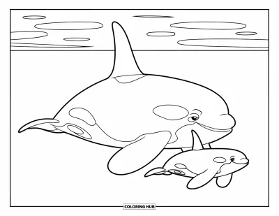 Coloriage d'orque pour enfants : Deux orques glissent ensemble dans des eaux calmes avec des contours nets et bien marqués