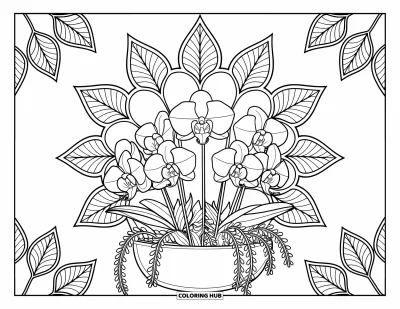 Desenho de orquídea para colorir para adultos: Conjunto de orquídeas em vaso com mandalas circulares de folhas ao redor