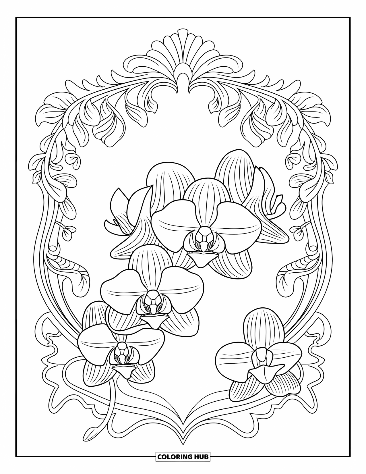 Orchid Coloring Page for Adults: Large orchid surrounded by an ornate vine and flower frame