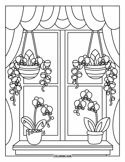 Desenho de orquídea para colorir para adultos: Cestos de orquídeas pendurados em janela aconchegante com carrilhão e cortinas recortadas