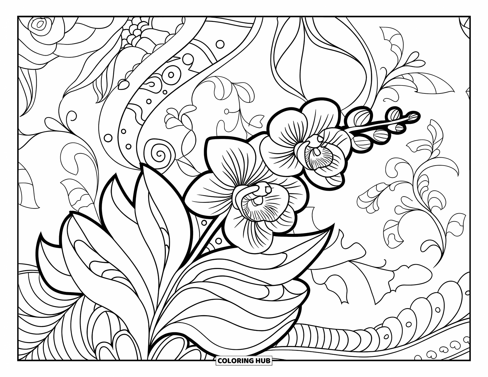 Orchid Coloring Page for Adults: Orchid stem with bold leaves rests over roses, vines, and swirling flowers