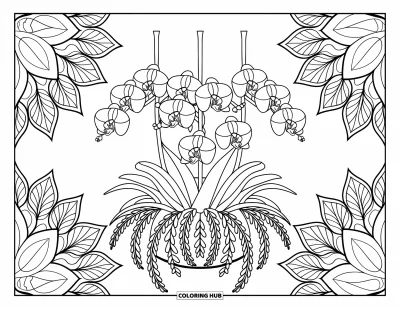 Desenho de orquídea para colorir para adultos: Orquídeas penduradas em vaso cercadas por padrões intrincados de mandala folhada