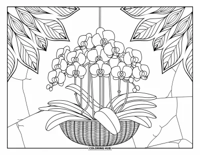 Desenho de orquídea para colorir para adultos: Orquídeas em vaso de vime cercadas por mandalas de folhas e parede com textura