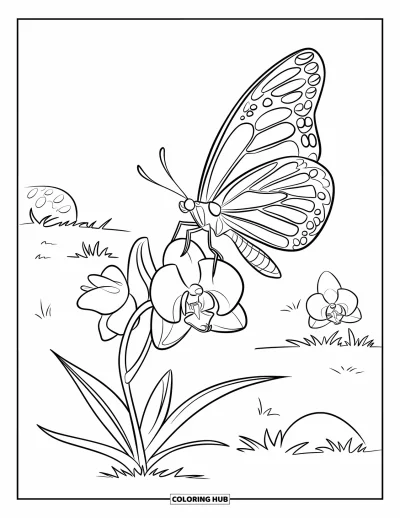 Desenho de orquídea para colorir para crianças: Borboleta pousa delicadamente em uma orquídea com pedras e outras plantas por perto