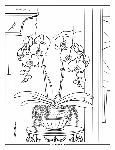 Desenho de orquídea para colorir para crianças: Orquídea pendurada em vaso com estampa sobre um suporte de madeira