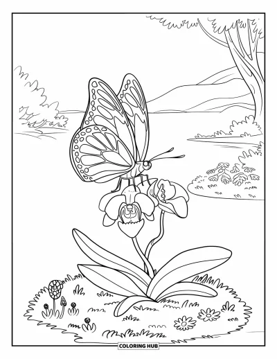 Desenho de orquídea para colorir para crianças: Borboleta pousa em uma orquídea em um canteiro tranquilo do jardim