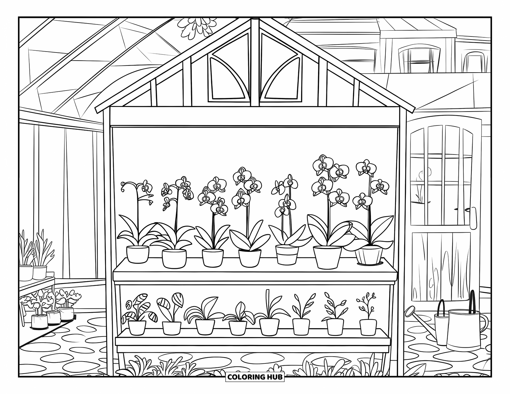 Orchid Coloring Page for Kids: Greenhouse shelf holds orchids and name tags beside a door and garden tools