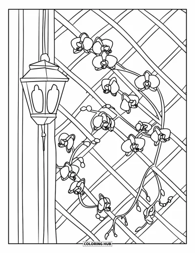 Desenho de orquídea para colorir para crianças: Lanterna pendurada ao lado de cipó de orquídea subindo por um treliçado de madeira