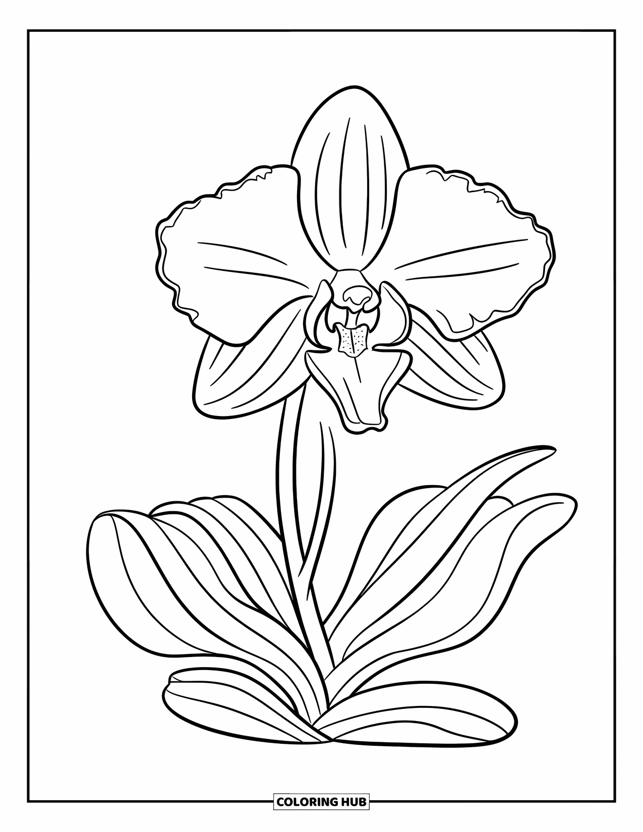Orchid Coloring Page for Kids: Large orchid with thick petals and clean lines takes center stage