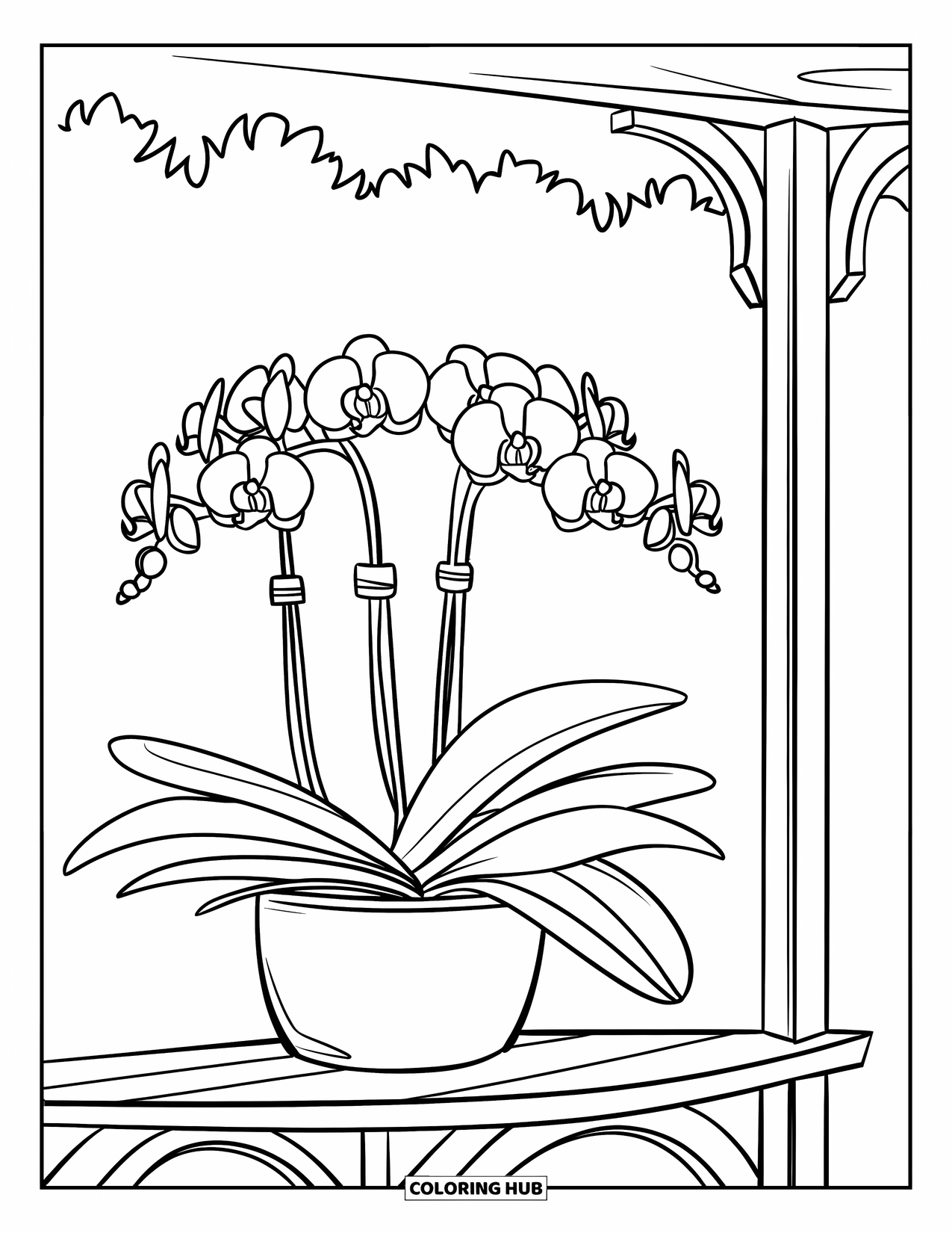 Orchid Coloring Page for Kids: Orchid sits on a wooden shelf with a pot below and a white background
