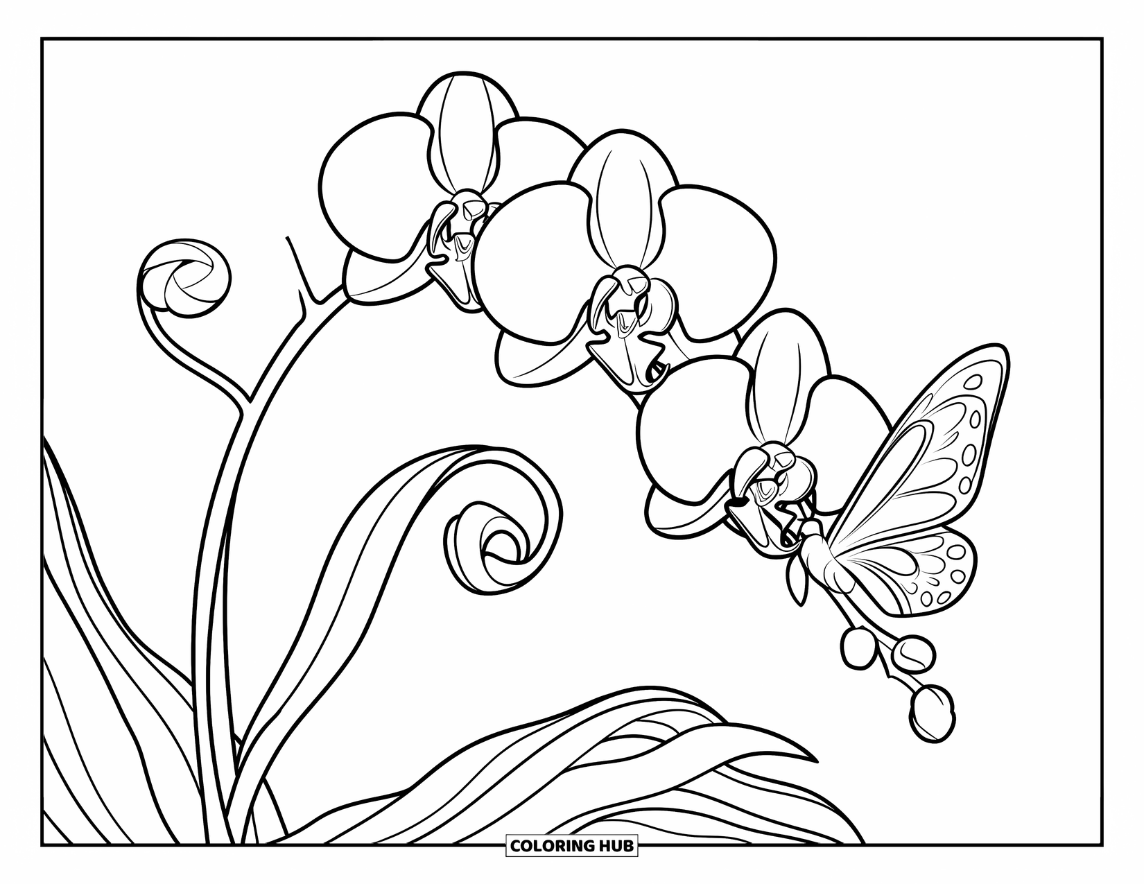 Orchid Coloring Page for Kids: Orchid stem curls gently as a butterfly lands on one of its blooms