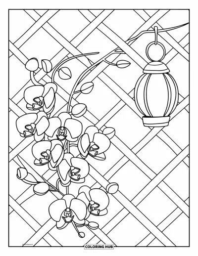 Desenho de orquídea para colorir para crianças: Cipó de orquídea sobe por treliçado ao lado de lanterna suspensa