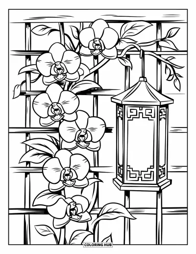 Desenho de orquídea para colorir para crianças: Cipó de orquídea com flores grandes sobe por treliçado com lanterna metálica ao lado