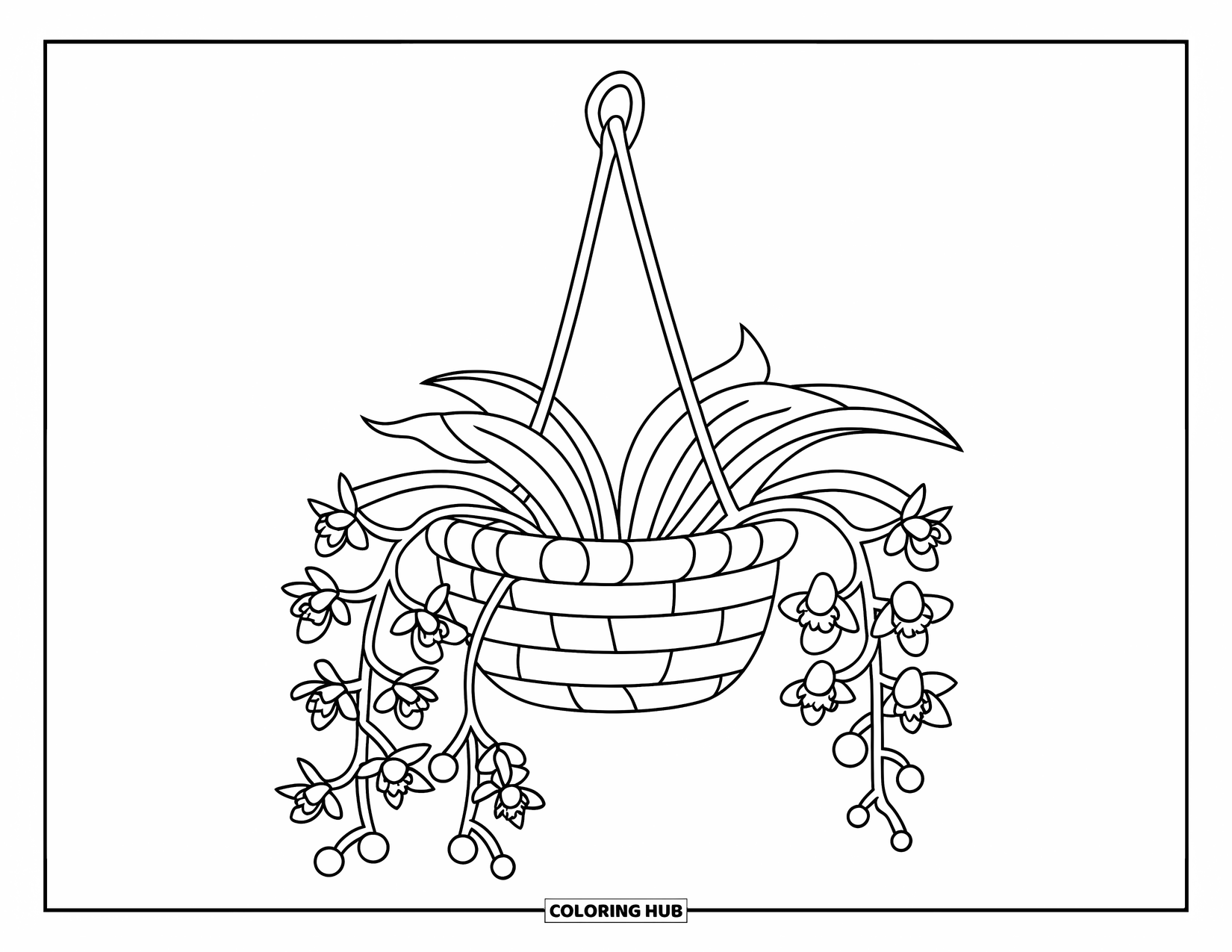 Orchid Coloring Page for Kids: Orchid vines bloom in a hanging basket suspended from a wooden pole