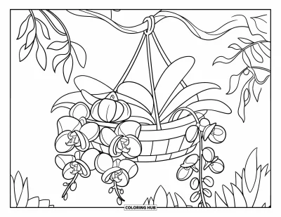 Desenho de orquídea para colorir para crianças: Cipós de orquídea envolvem um cesto suspenso com flores exuberantes e folhas detalhadas