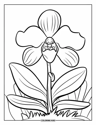 Desenho de orquídea para colorir para crianças: Orquídea com pétalas largas e caule simples no centro da página