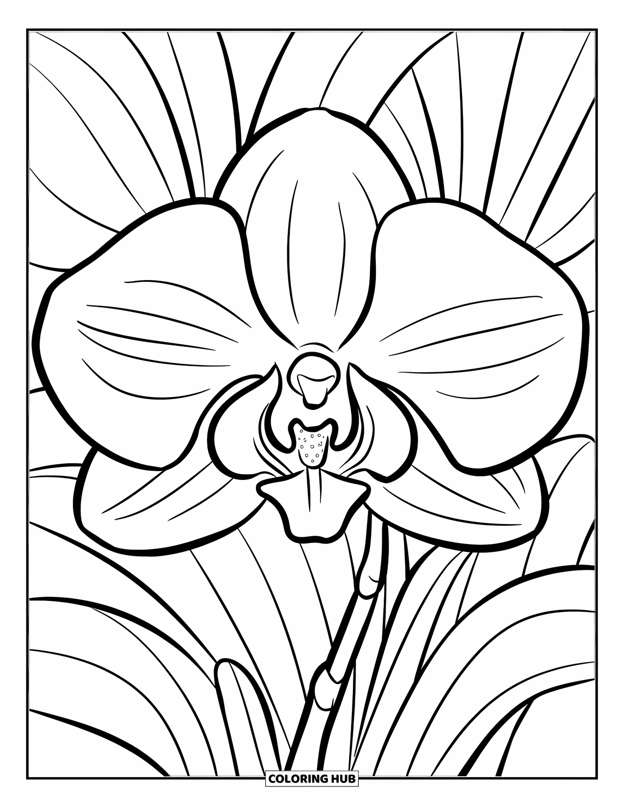 Orchid Coloring Page for Kids: Orchid with round petals and bold stem sits centered on the page