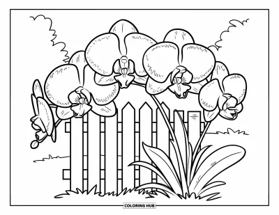 Desenho de orquídea para colorir para crianças: Orquídeas florescem perto de uma cerca baixa com três trilhos e pétalas arredondadas