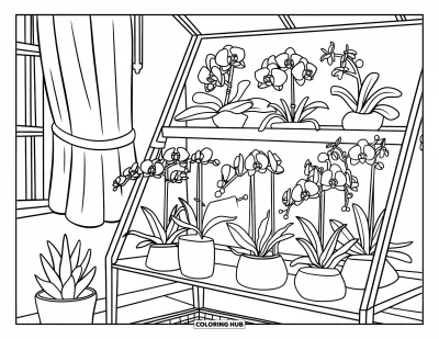 Desenho de orquídea para colorir para crianças: Orquídeas em vasos com etiquetas em prateleira perto de janela e cortina