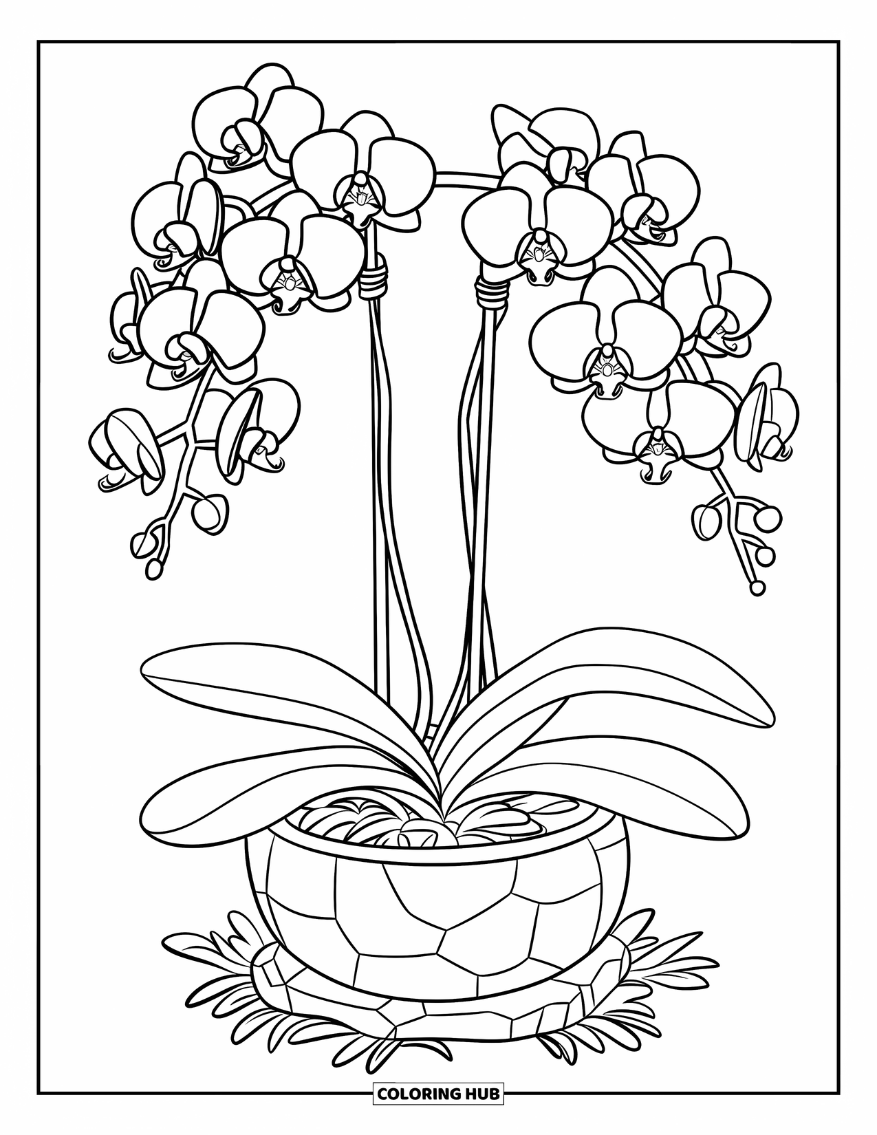 Orchid Coloring Page for Kids: Orchids sprout from a pot with little leaves, resting on a stone base