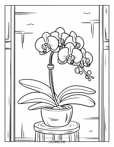 Desenho de orquídea para colorir para crianças: Orquídea em vaso com folhas grossas e uma flor contra parede simples
