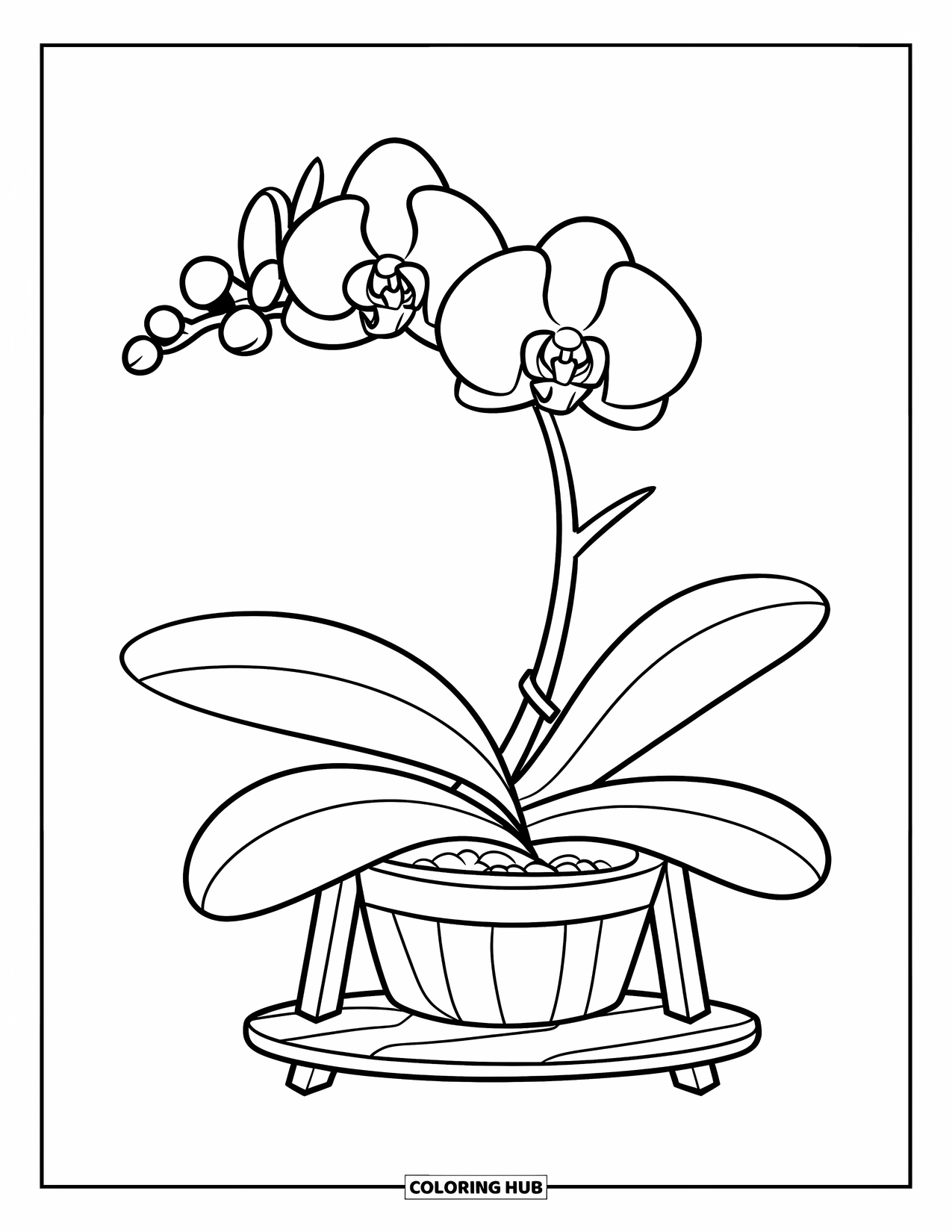 Orchid Coloring Page for Kids: Single orchid in a pot rests on a stand with a clean, white background