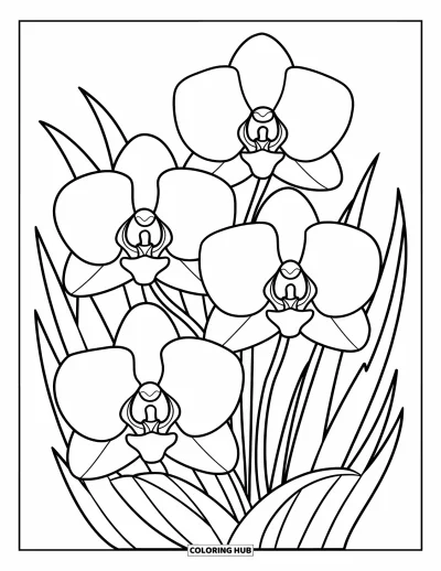 Desenho de orquídea para colorir para crianças: Três orquídeas simples com pétalas largas e composição alegre e divertida