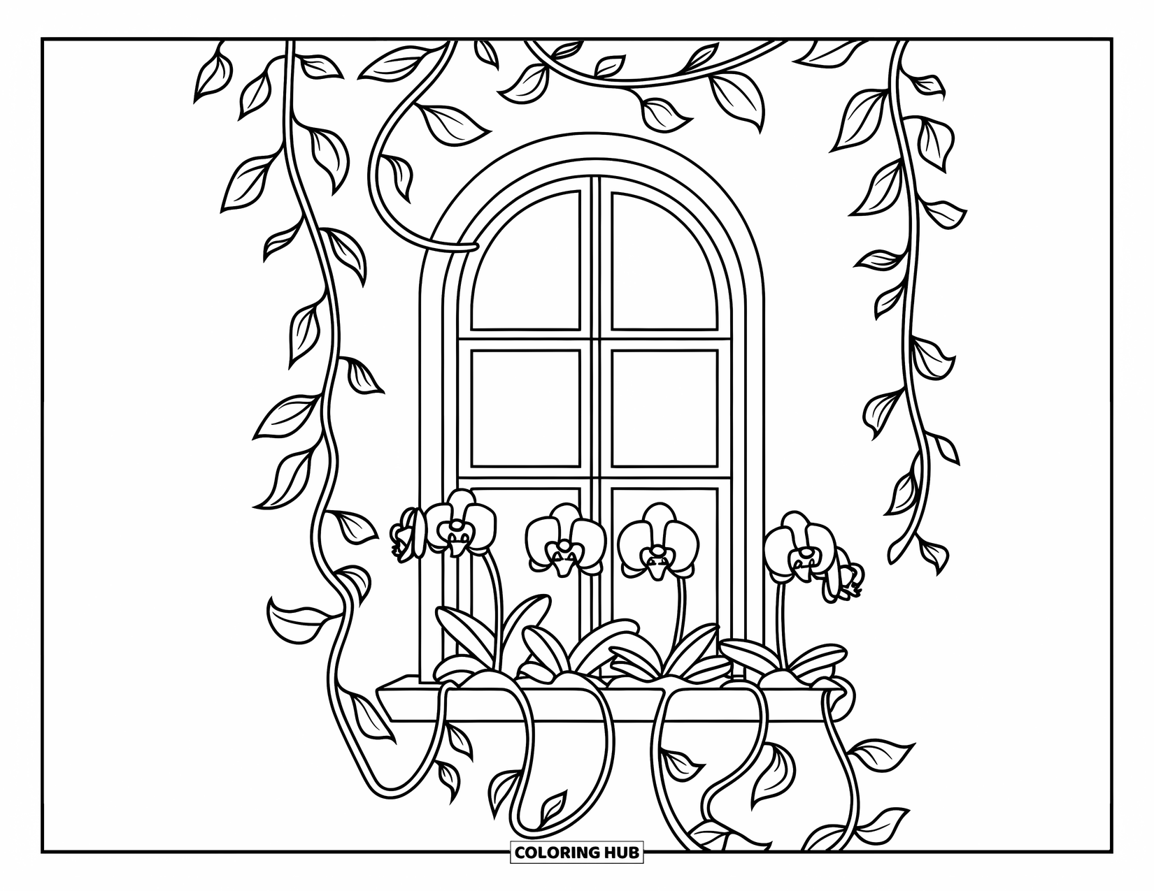 Orchid Coloring Page for Kids: Vines trail down from a windowsill lined with blooming orchids