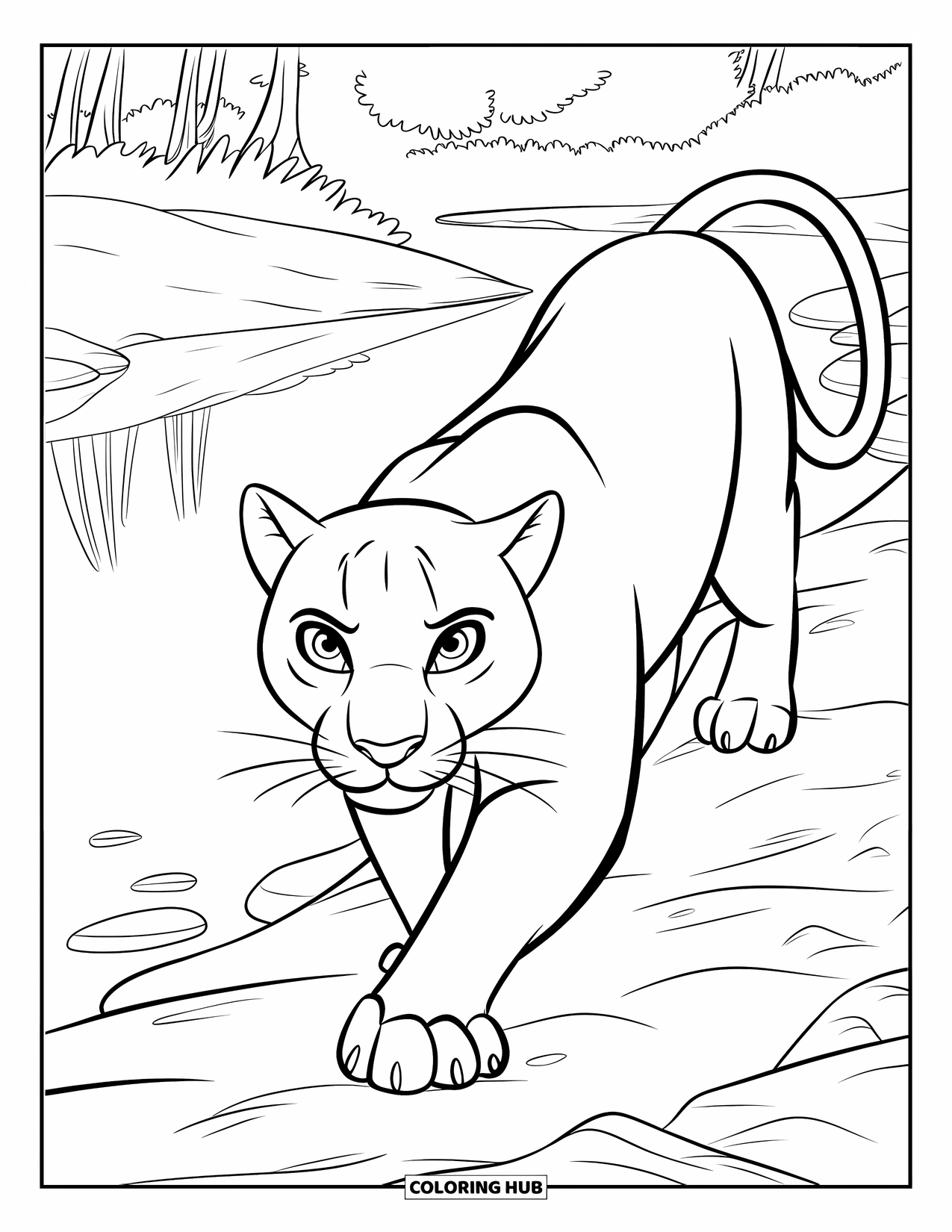 Panther Coloring Page for Kids: A panther with a curled tail walks near calm water and smooth riverside rocks