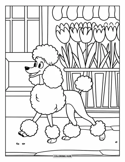 Coloriage de Paris pour enfants : Un adorable caniche trotte devant des paniers de tulipes à l'extérieur d'une boutique accueillante
