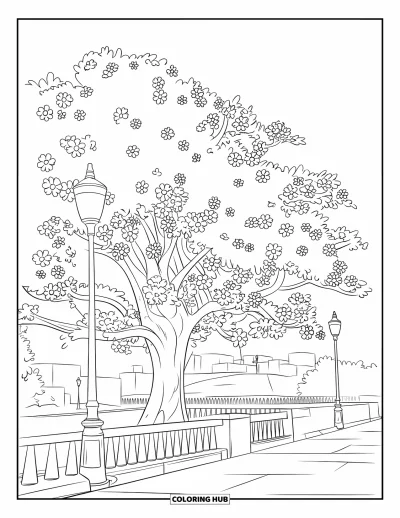 Desenho de parque para colorir para crianças: Uma cerejeira com flores e lanternas enfileira uma calçada perto de alguns prédios