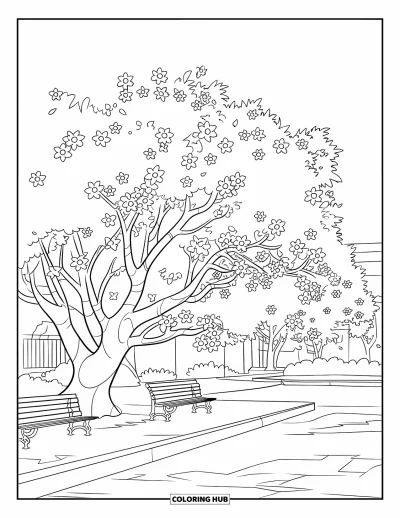 Desenho de parque para colorir para crianças: Uma árvore de flores rosas perto de um caminho e bancos ilumina o parque