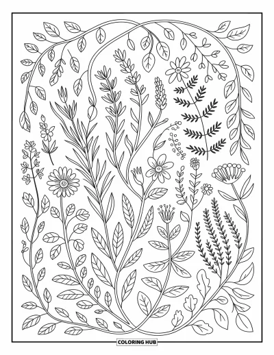 Fargeleggingsark med mønsterdesign for voksne: Botaniske urter, vinstokker og blomster spiraler rundt røtter i et sirkulært bladrikt mønster